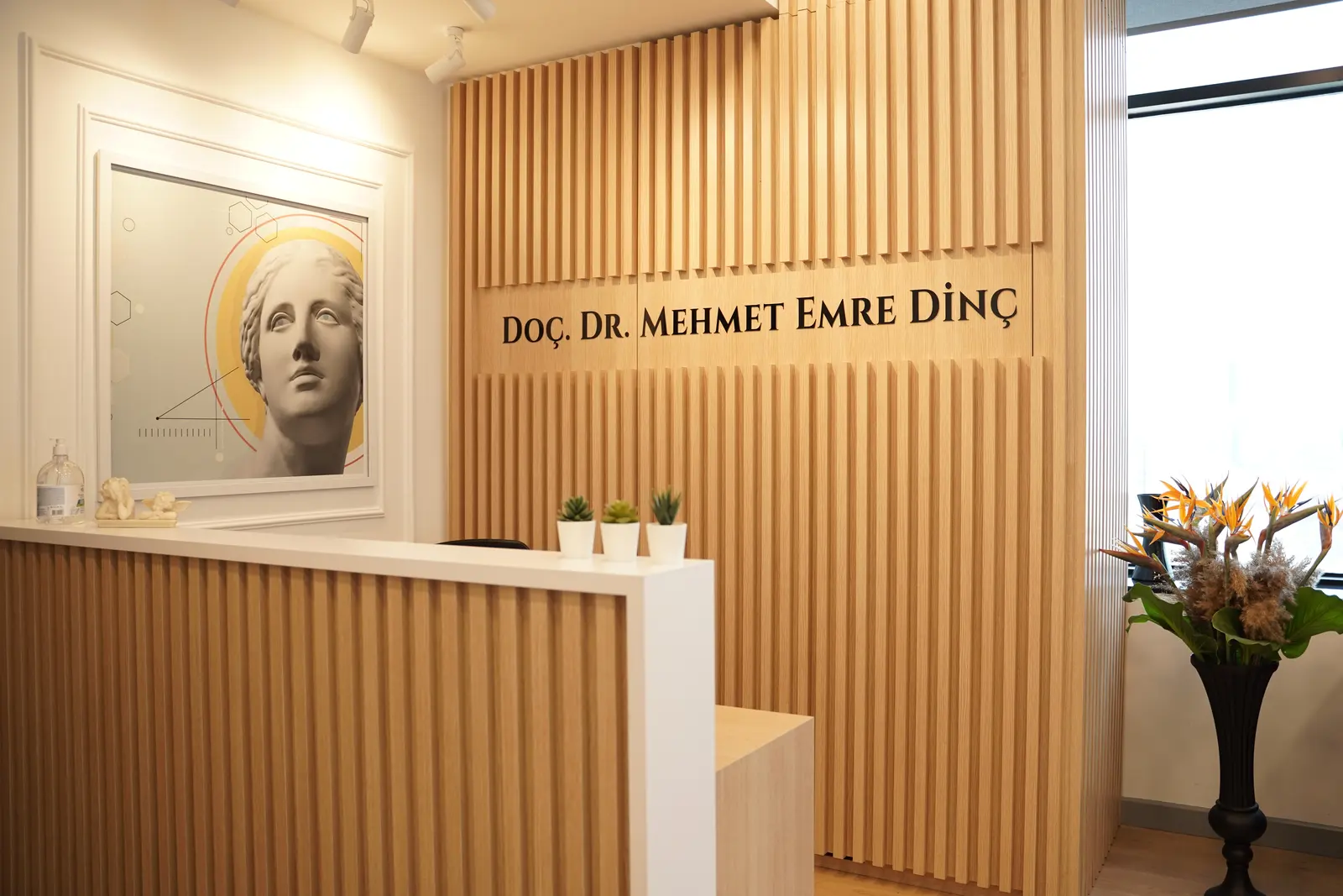 Assoc. Prof. Dr Mehmet Emre Dinç