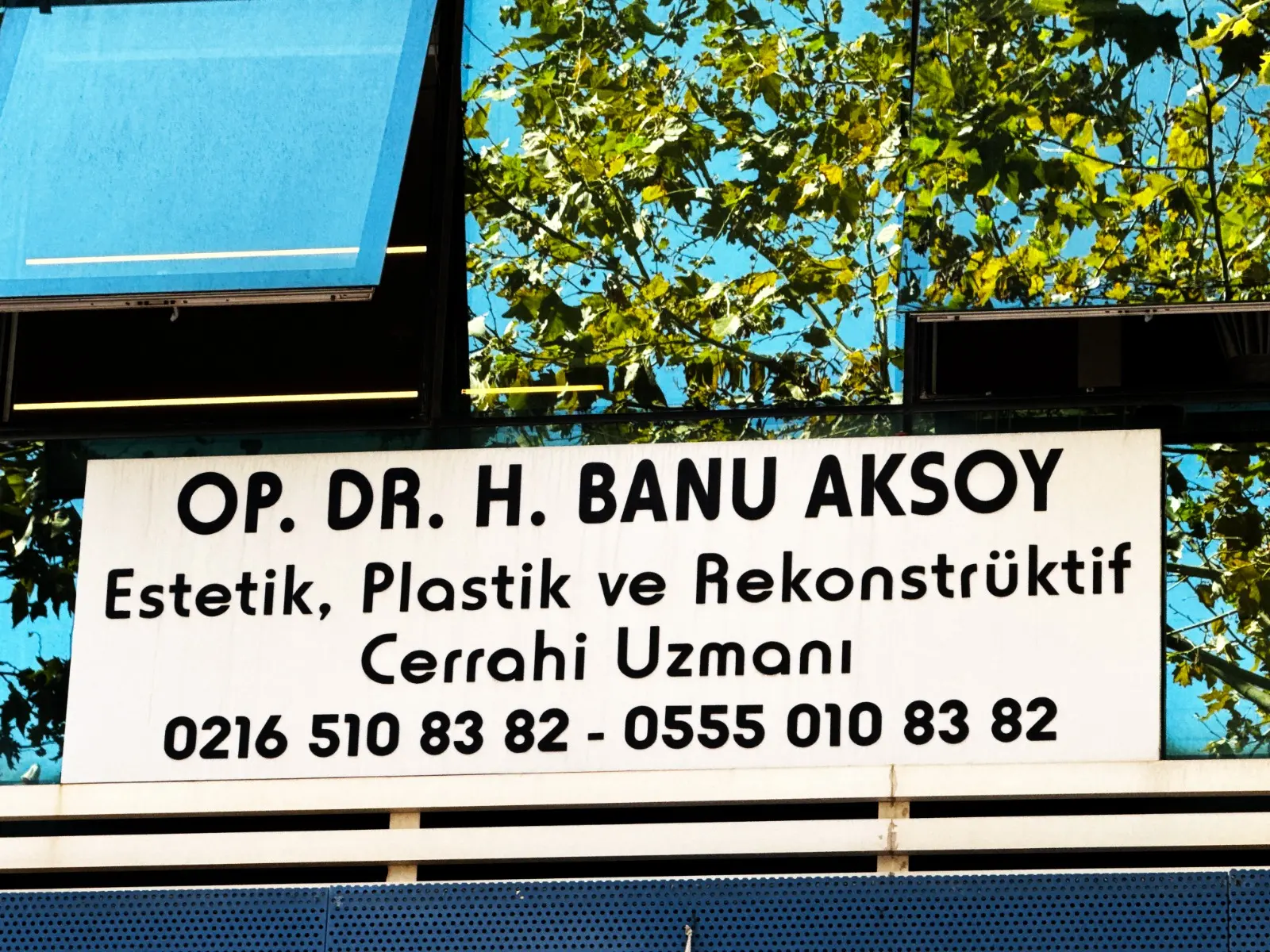 Dr Hacer Banu Aksoy
