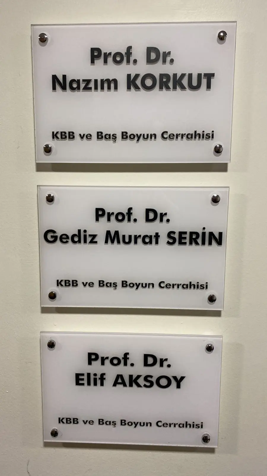 Prof. Dr Gediz Murat Serin