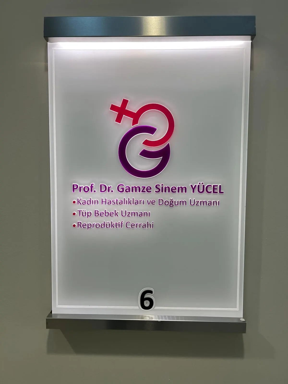 Prof. Dr Gamze Sinem Yücel