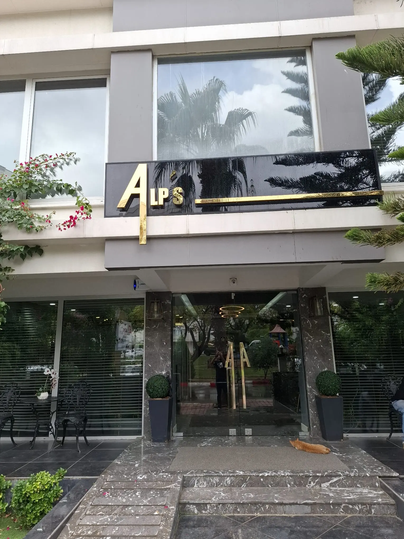 Alp's Dental Clinic