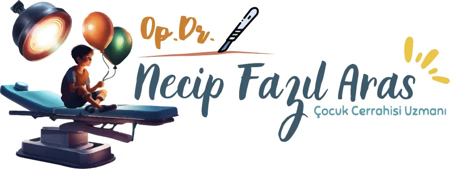 Dr Necip Fazıl Aras logo