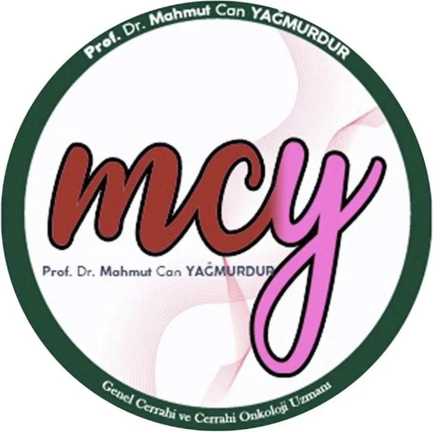 Prof. Dr Mahmut Can Yağmurdur logo