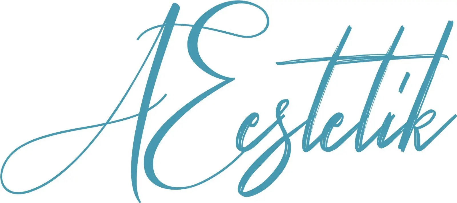 Dr Atilla Ersoy logo