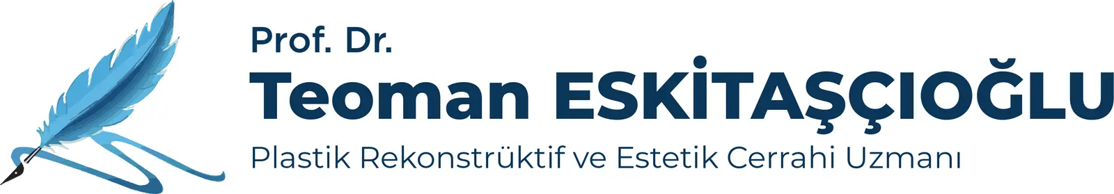 Logo von Prof. Dr. Teoman Eskitaşcioğlu