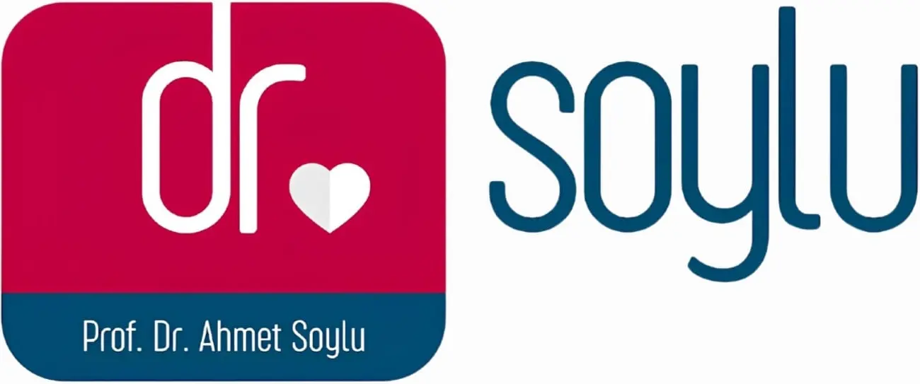 Logo von Prof. Dr. Ahmet Soylu