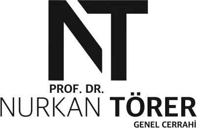 Prof. Dr Nurkan Törer logo