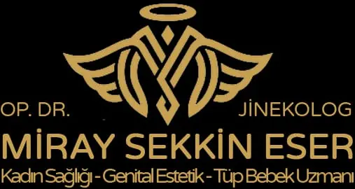 Logo von Dr. Miray Sekkin Eser
