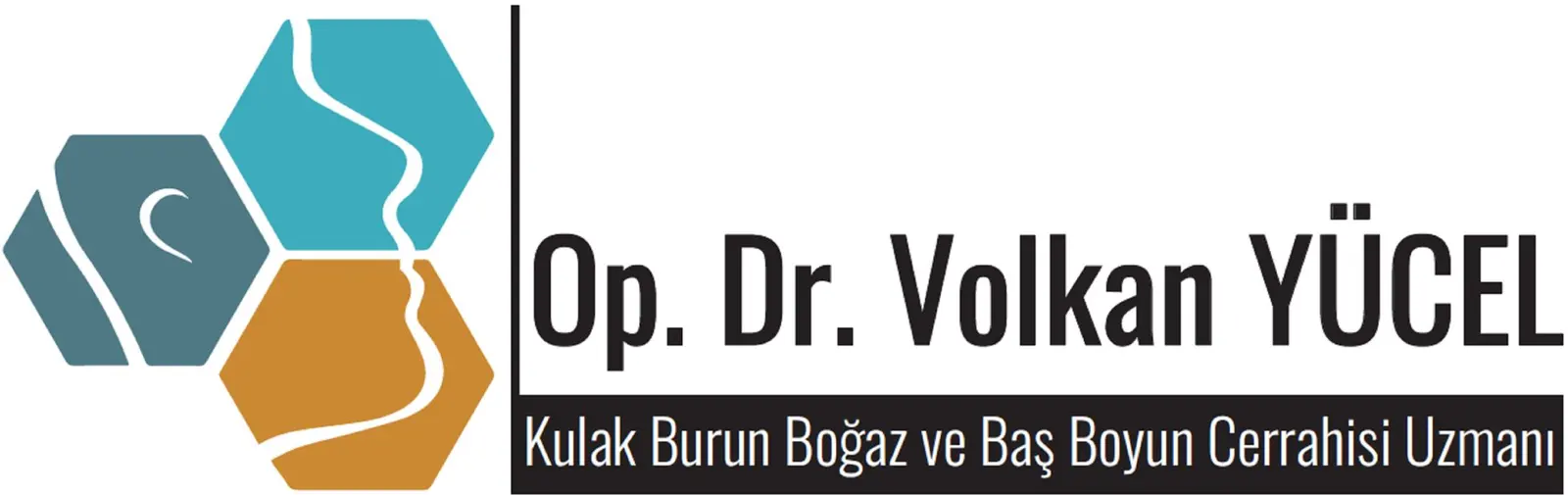 Dr Volkan Yücel logo