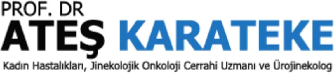 Logo von Prof. Dr. Ateş Karateke