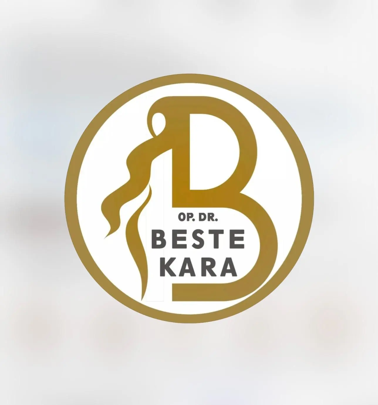 Dr Beste Kara logo