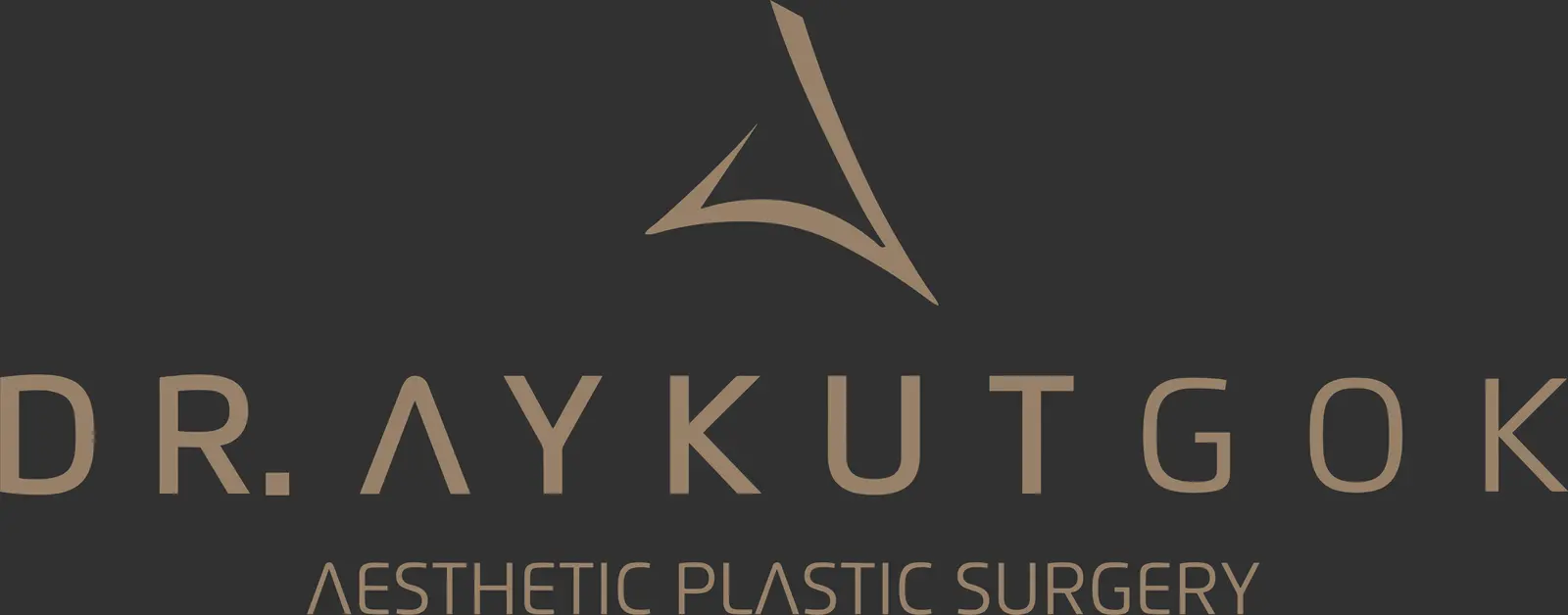 Dr Aykut Gök logo