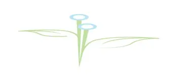 Dr Recep Çelik logo