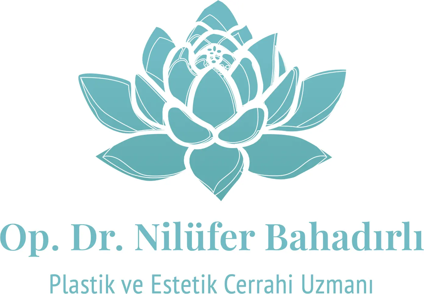 Dr Nilüfer Bahadırlı logo