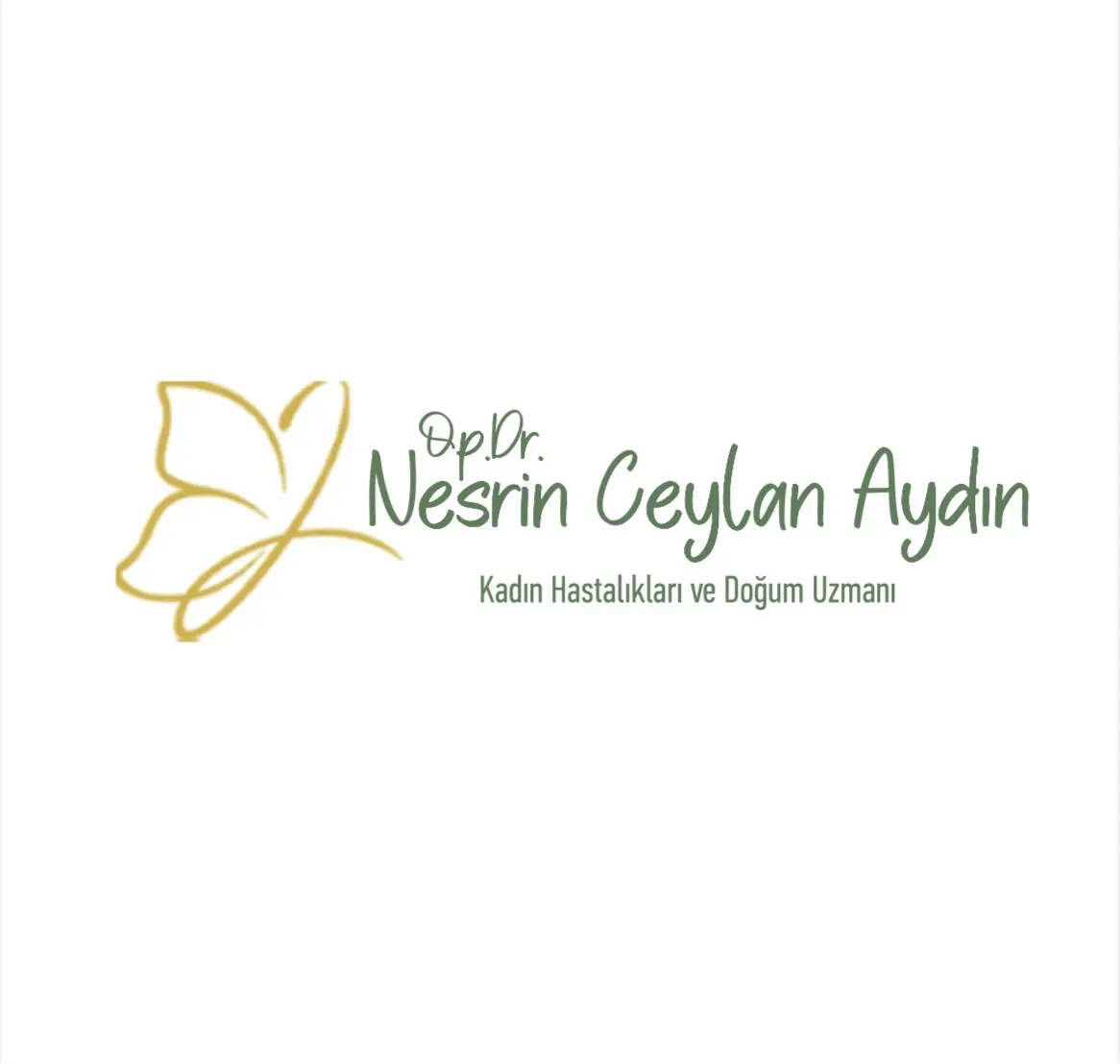 Logo von Dr. Nesrin Ceylan Aydın