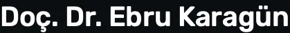 Assoc. Prof. Dr Ebru Karagün logo