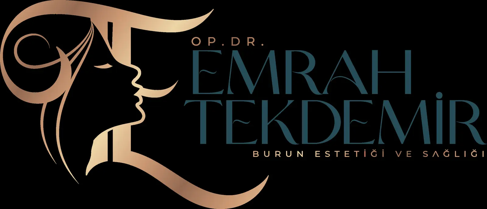 Logo von Dr. Emrah Tekdemir