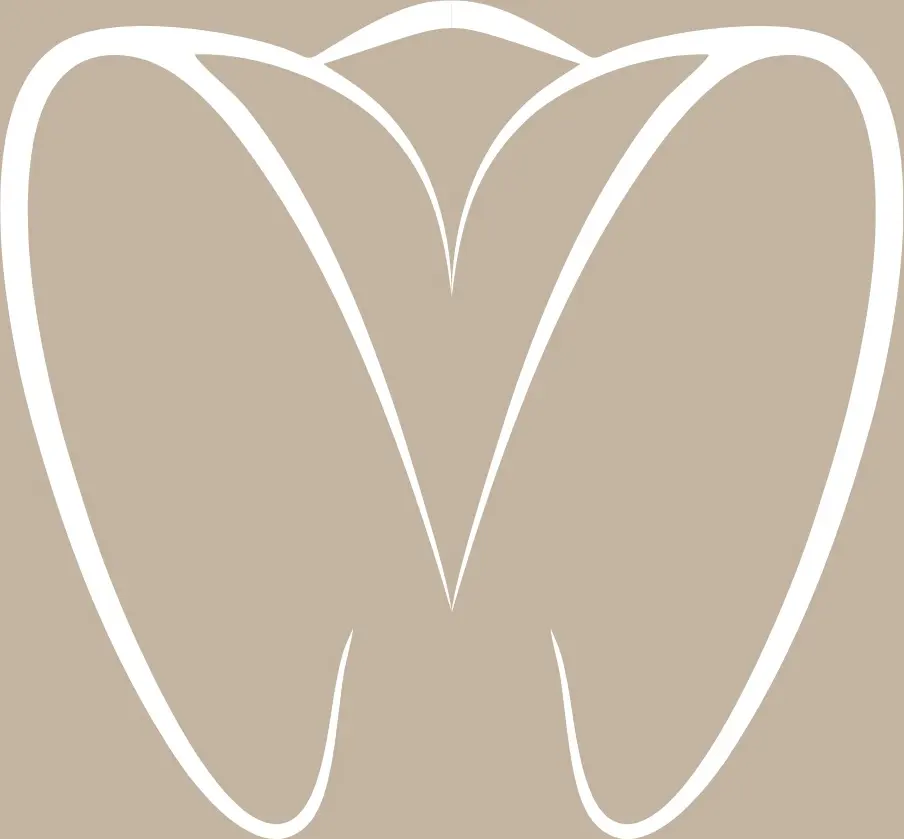 Selam Dental Clinic logo