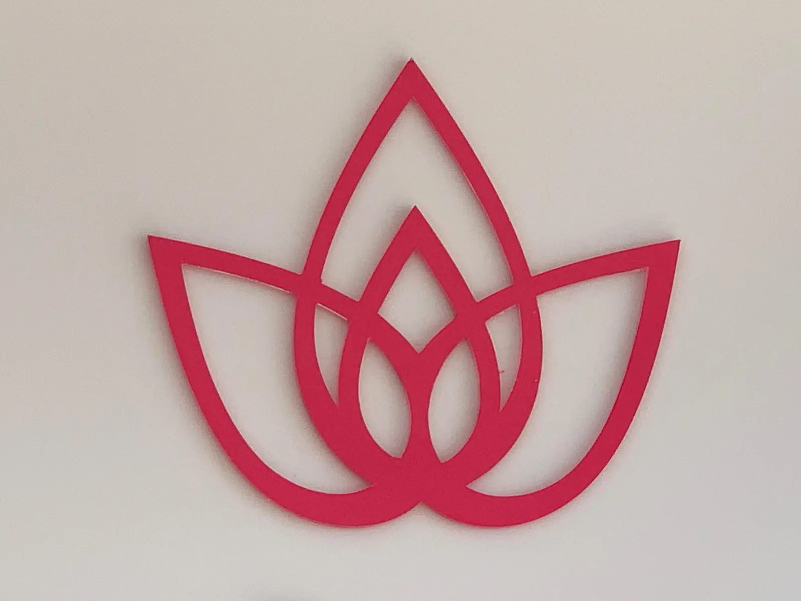 Dr Burçak Tok logo