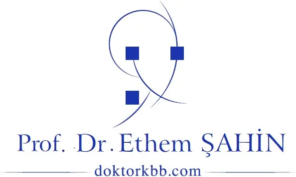 Assoc. Prof. Dr Ethem Şahin logo