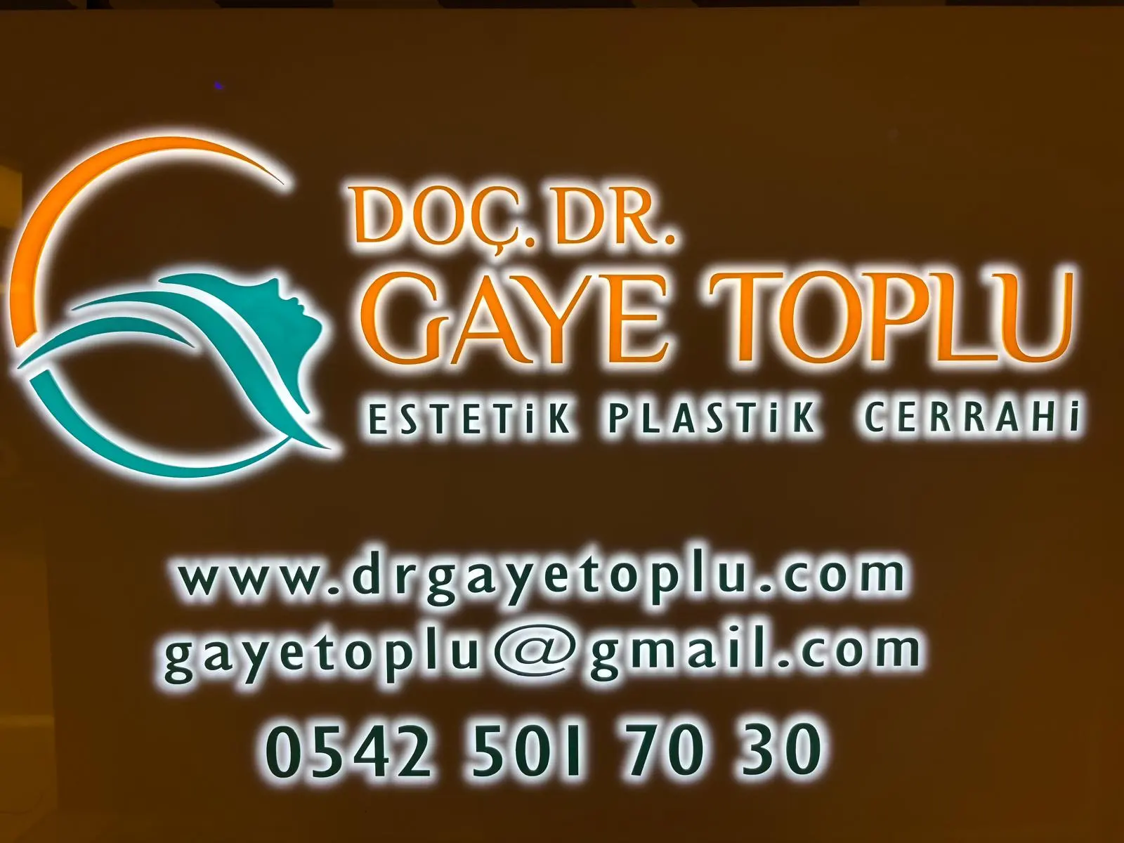 Assoc. Prof. Dr Gaye Toplu logo
