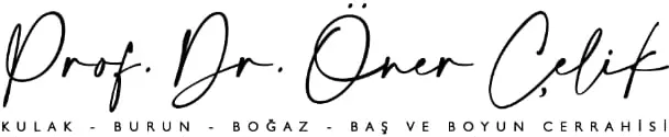 Prof. Dr Öner Çelik logo