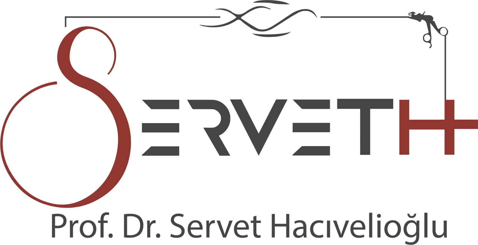 Prof. Dr Servet Özden Hacıvelioğlu logo