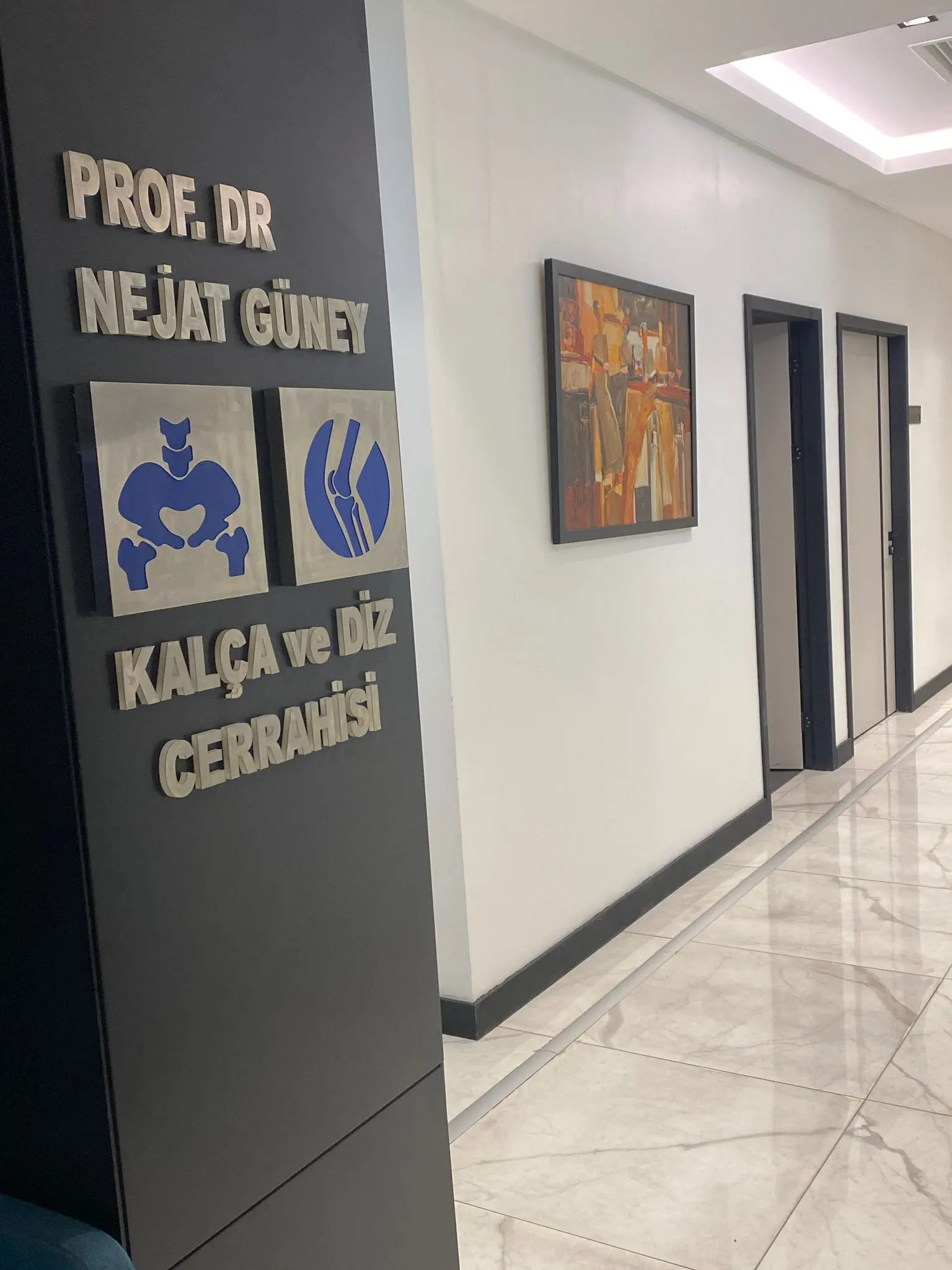 Prof. Dr Nejat Güney logo