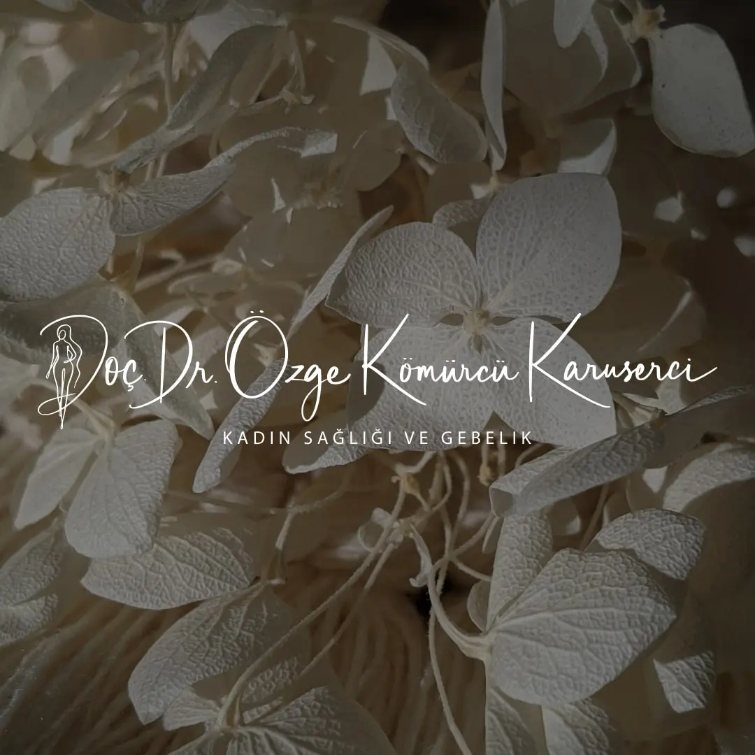 Assoc. Prof. Dr Özge Kömürcü Karuserci logo