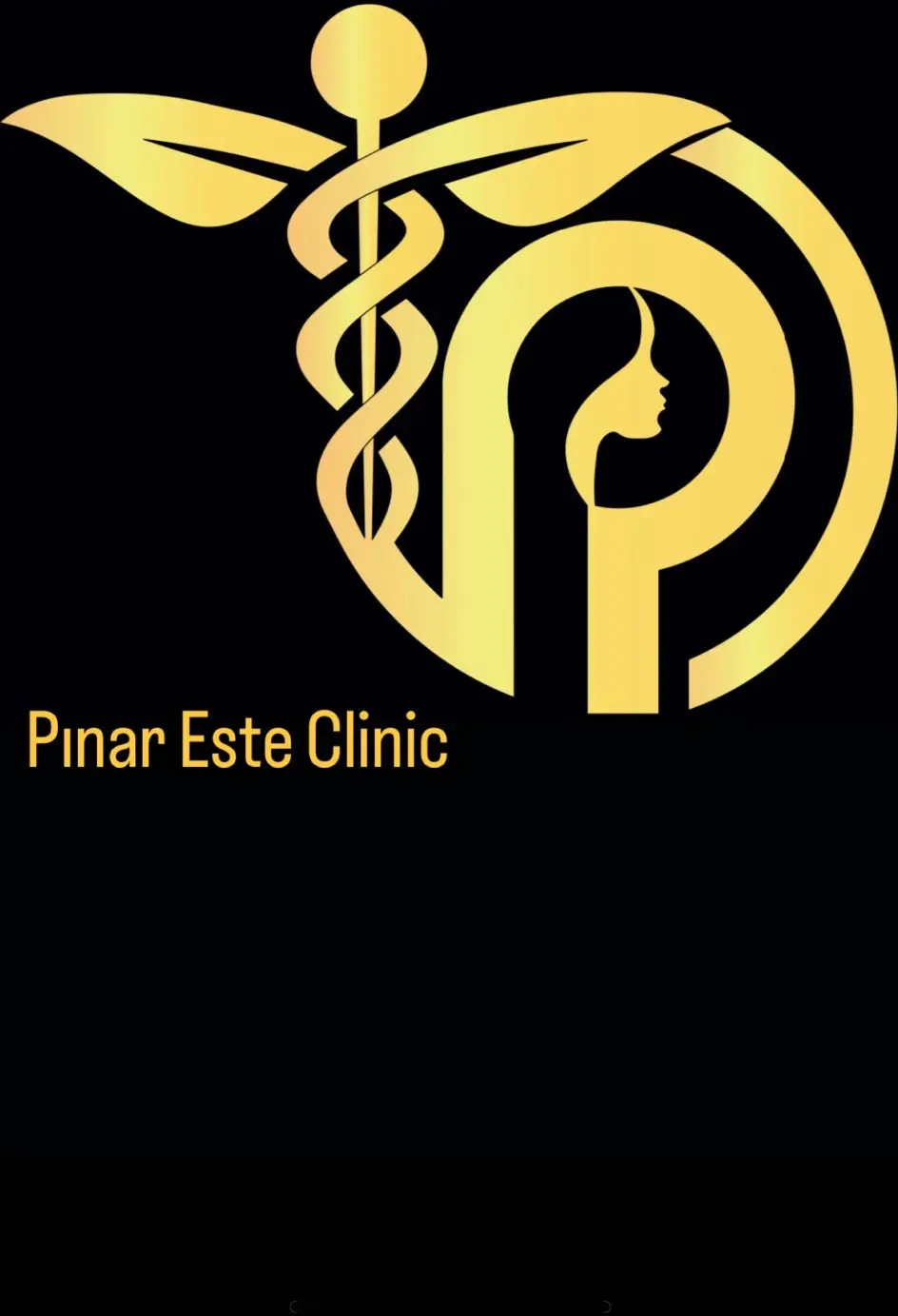 Assoc. Prof. Dr Pınar Taşdemir logo