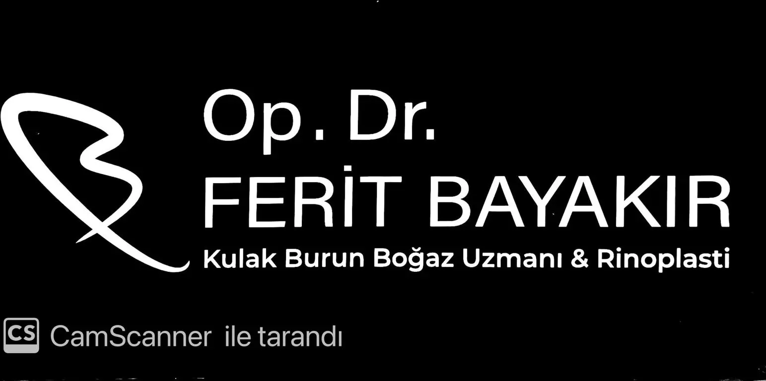 Dr Ferit Bayakır logo