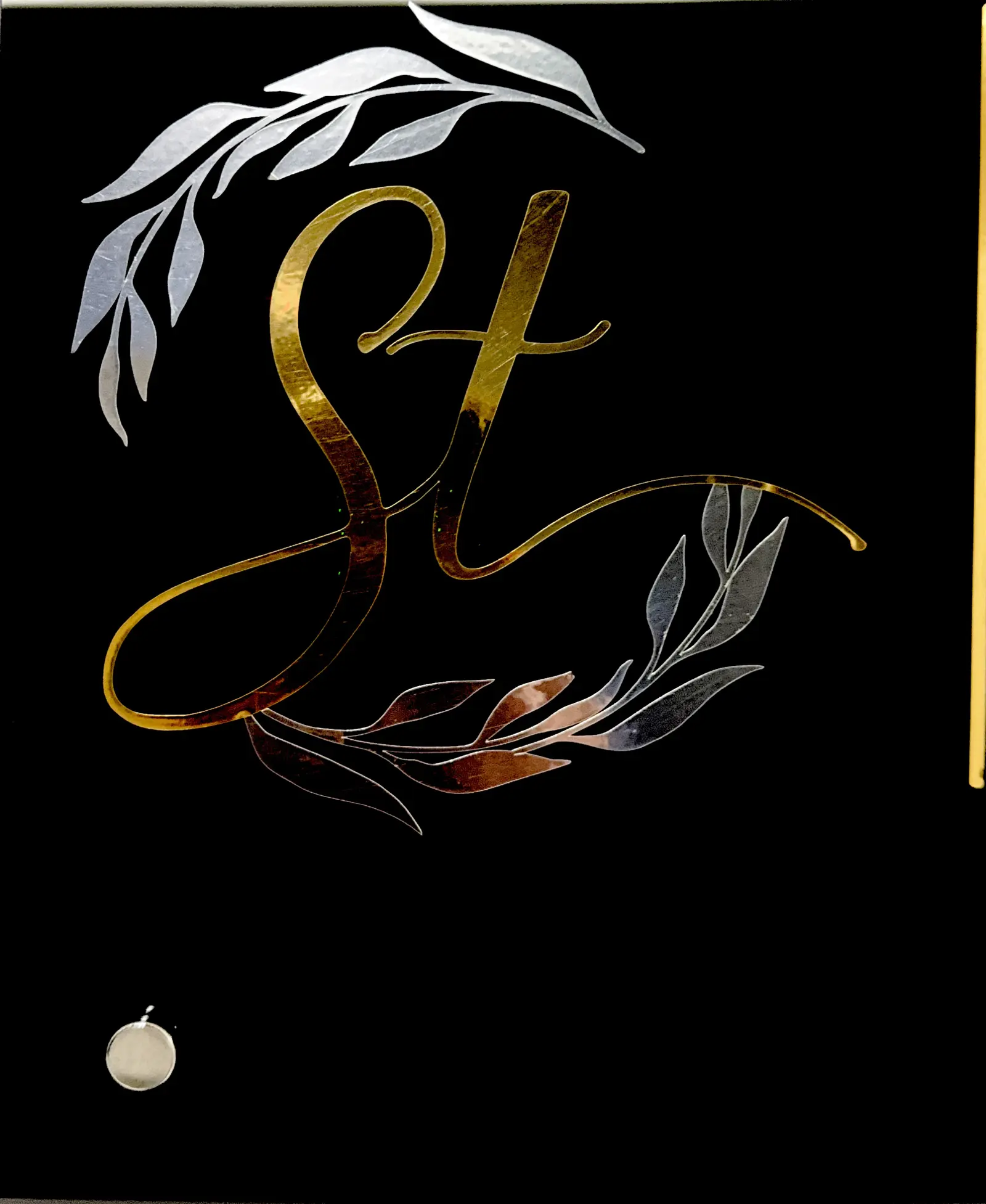 Dr Sevim Terzi (Albayrak) logo