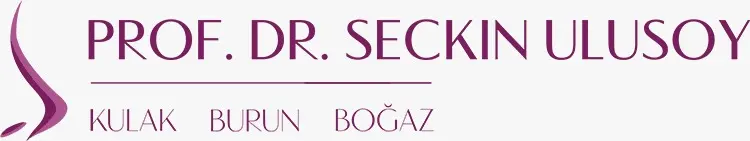 Prof. Dr Seçkin Ulusoy logo
