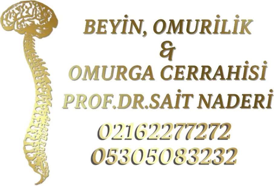 Logo von Dr. Sait Naderi