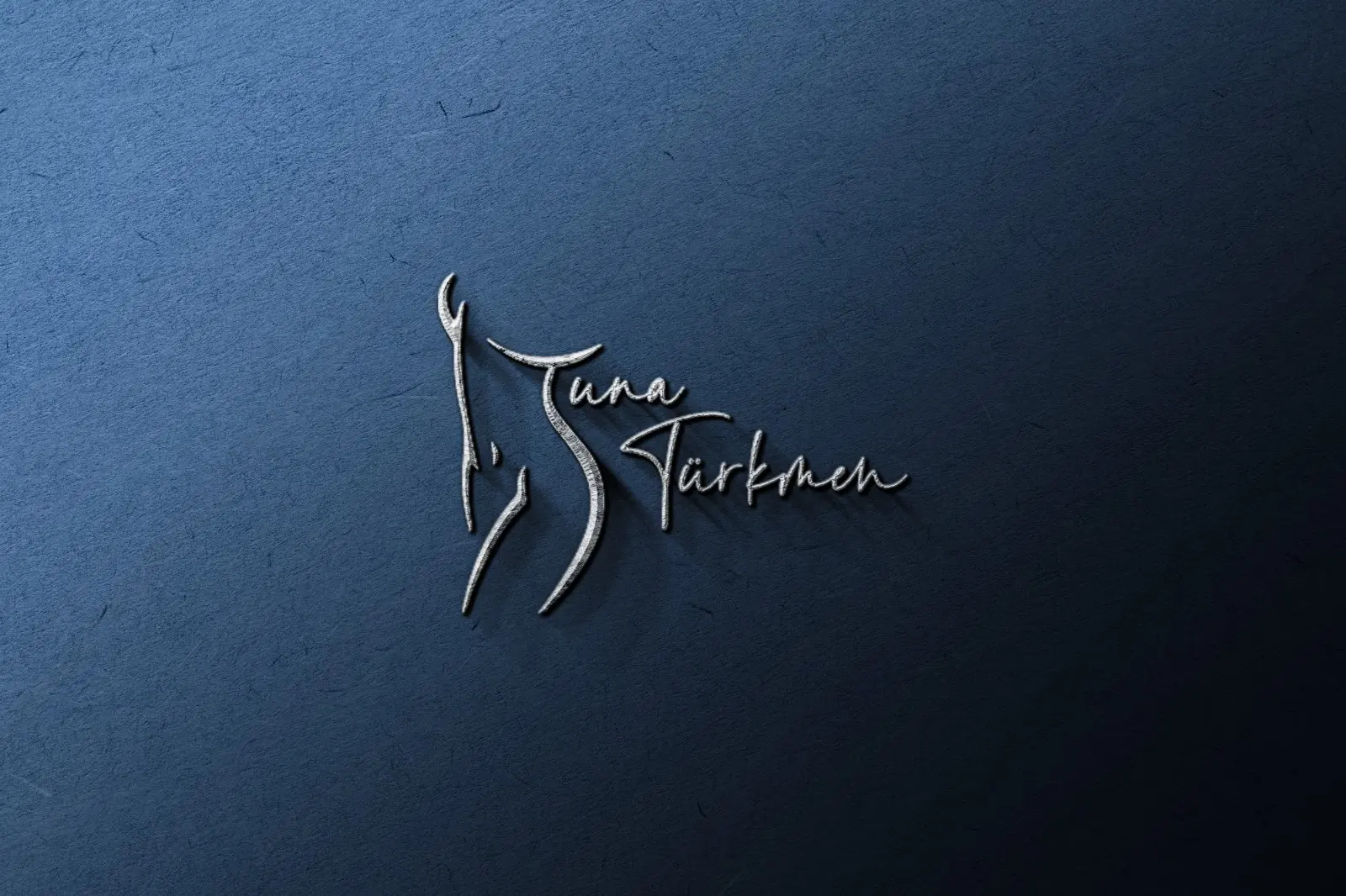 Logo von Dr. Hasan Tuna Türkmen