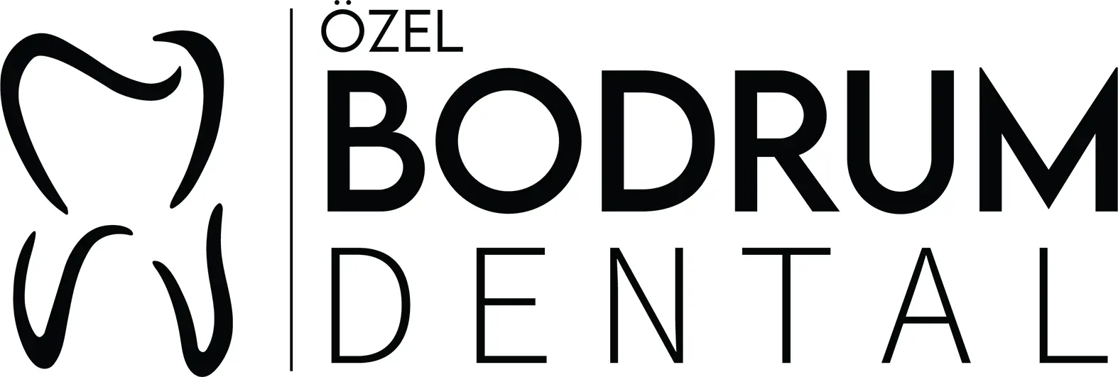 Bodrum Dental logo