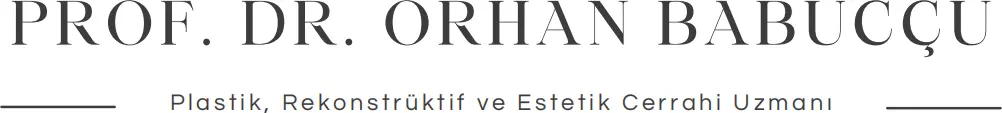 Prof. Dr Orhan Babucçu logo