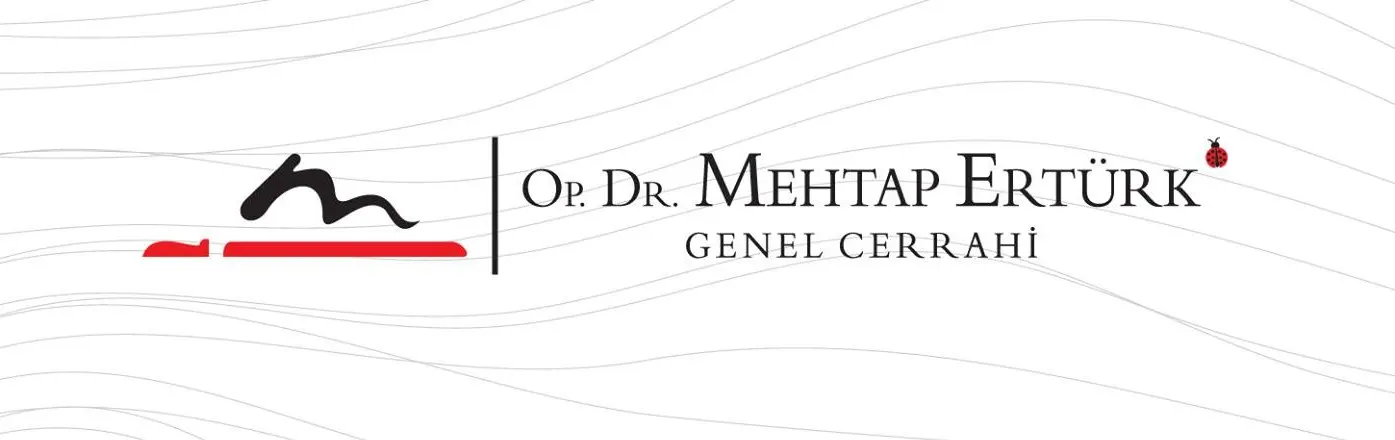 Dr Mehtap Ertürk logo