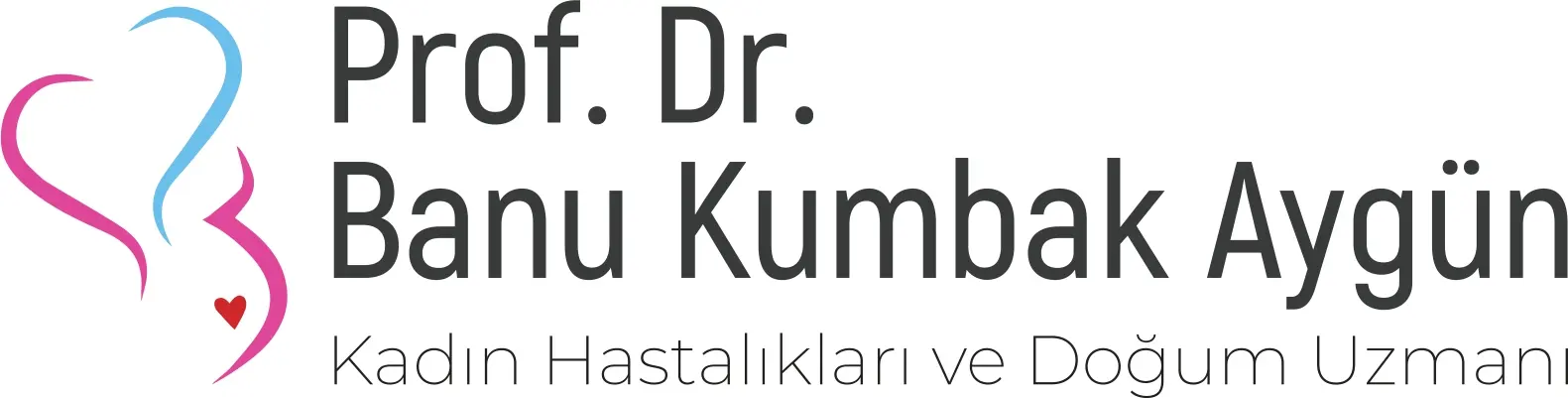 Prof. Dr Hatice Banu Aygün logo