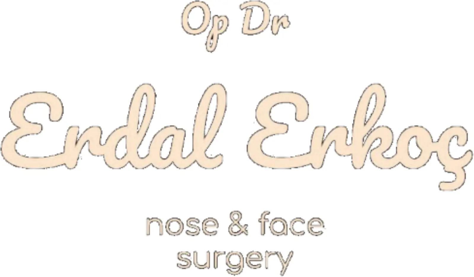 Dr Erdal Erkoc logo