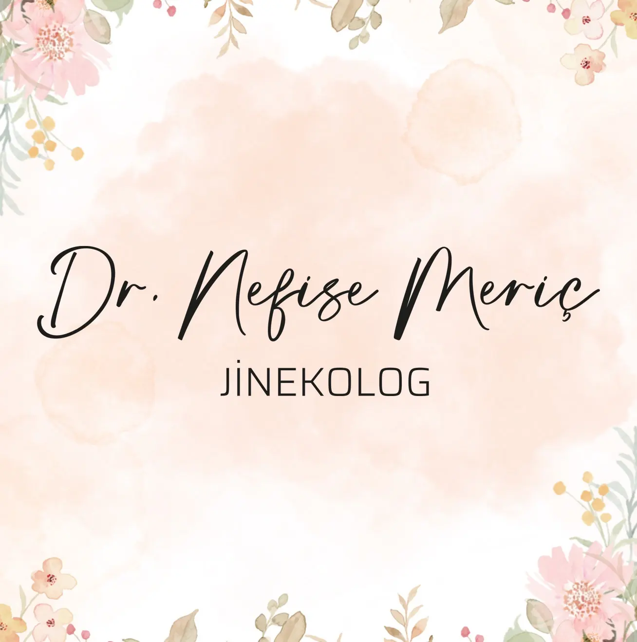 Dr Nefize Rafet Merich logo