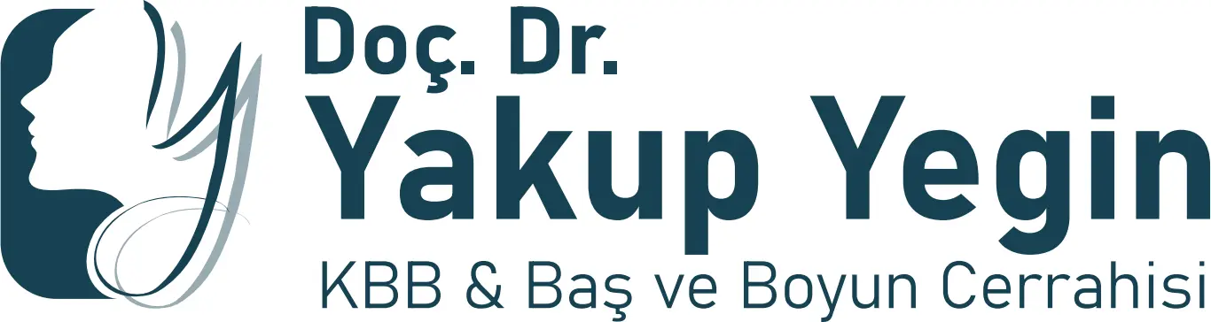 Assoc. Prof. Dr Yakup Yegin logo
