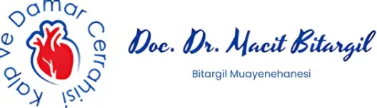 Logo von Assoc. Prof. Dr. Macit Bitargil