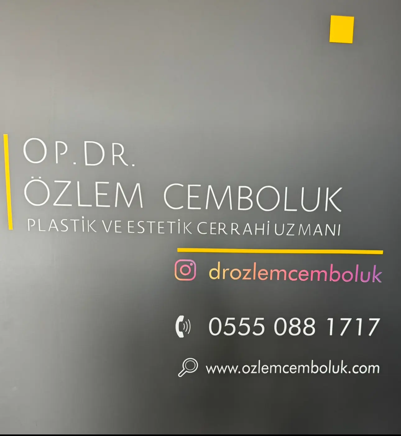Dr Özlem Cemboluk Ebeler logo