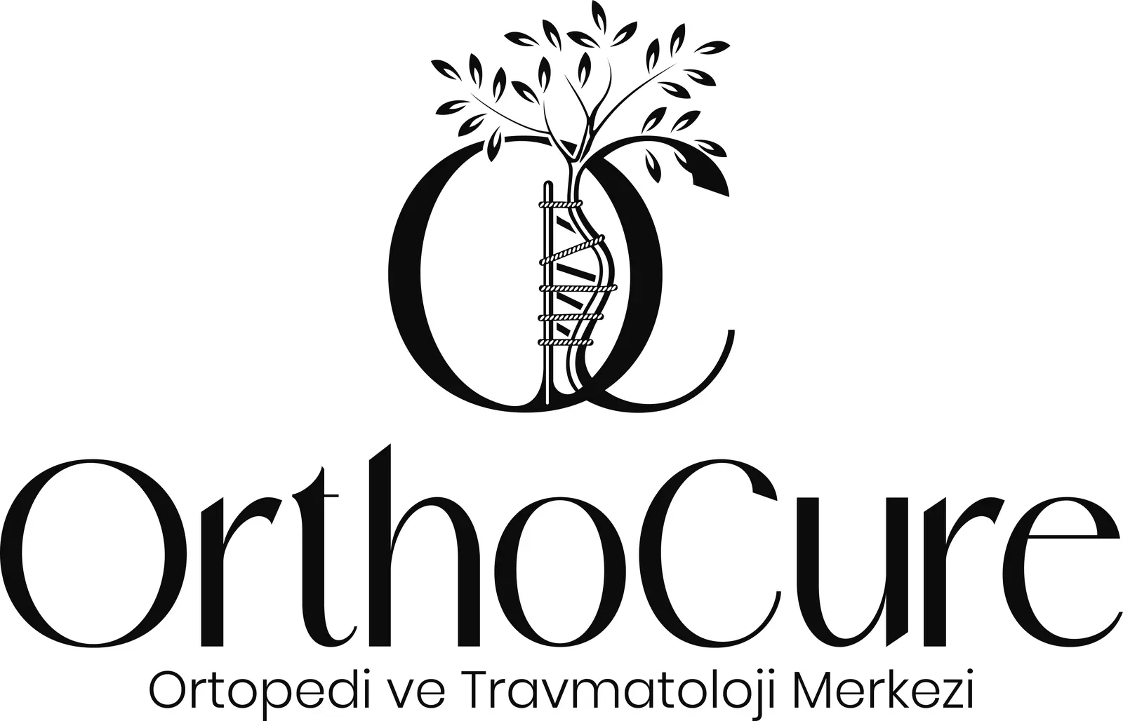 Dr Muhammed Taha Demir logo
