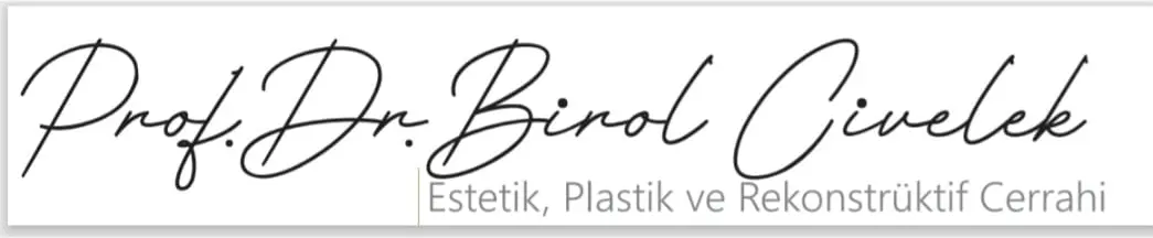 Prof. Dr Birol Civelek logo