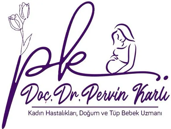 Logo von Assoc. Prof. Dr. Pervin Karlı