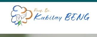 Prof. Dr Kubilay Beng logo