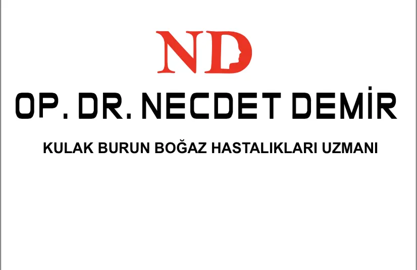 Dr Necdet Demir logo