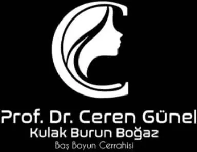 Logo von Prof. Dr. Ceren Günel